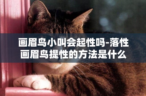 畫眉鳥小叫會起性嗎-落性畫眉鳥提性的方法是什么