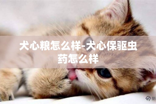 犬心糧怎么樣-犬心保驅蟲藥怎么樣