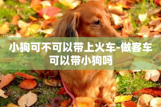 小狗可不可以帶上火車-做客車可以帶小狗嗎