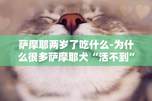 薩摩耶兩歲了吃什么-為什么很多薩摩耶犬“活不到”15歲