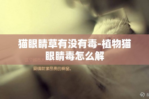 貓眼睛草有沒有毒-植物貓眼睛毒怎么解