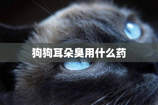 狗狗耳朵臭用什么藥