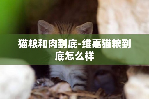 貓糧和肉到底-維嘉貓糧到底怎么樣