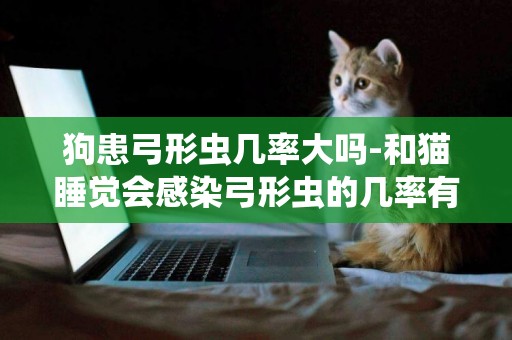狗患弓形蟲幾率大嗎-和貓睡覺會感染弓形蟲的幾率有多大