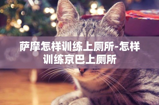 薩摩怎樣訓練上廁所-怎樣訓練京巴上廁所