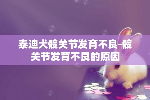 泰迪犬髖關節發育不良-髖關節發育不良的原因
