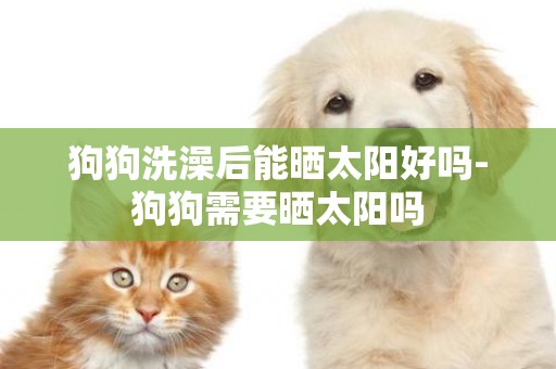 狗狗洗澡后能曬太陽好嗎-狗狗需要曬太陽嗎