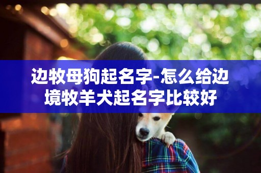 邊牧母狗起名字-怎么給邊境牧羊犬起名字比較好