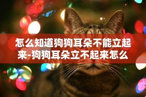 怎么知道狗狗耳朵不能立起來-狗狗耳朵立不起來怎么辦
