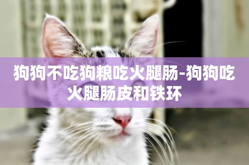 狗狗不吃狗糧吃火腿腸-狗狗吃火腿腸皮和鐵環