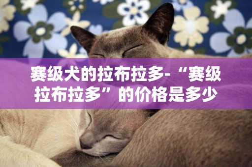 賽級犬的拉布拉多-“賽級拉布拉多”的價格是多少