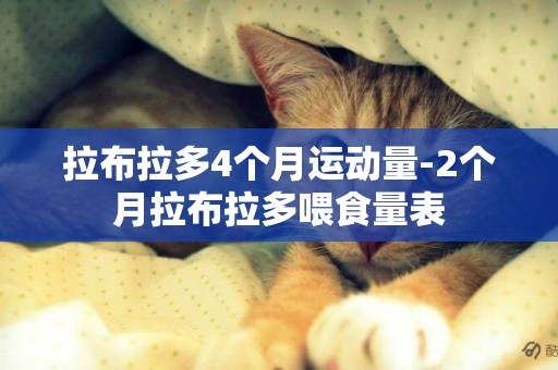 拉布拉多4個月運動量-2個月拉布拉多喂食量表