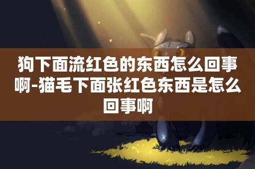 狗下面流紅色的東西怎么回事啊-貓毛下面張紅色東西是怎么回事啊