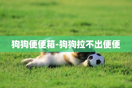 狗狗便便箱-狗狗拉不出便便