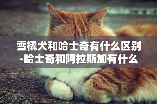 雪橇犬和哈士奇有什么區別-哈士奇和阿拉斯加有什么區別