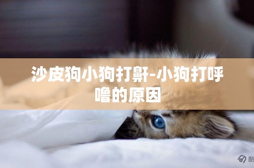 沙皮狗小狗打鼾-小狗打呼嚕的原因