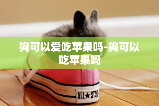 狗可以愛吃蘋果嗎-狗可以吃蘋果嗎