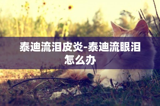 泰迪流淚皮炎-泰迪流眼淚怎么辦