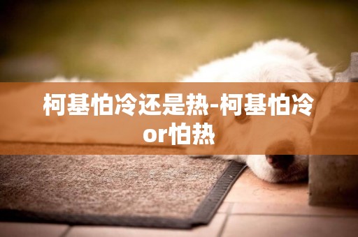 柯基怕冷還是熱-柯基怕冷or怕熱