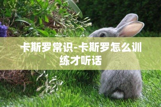 卡斯羅常識-卡斯羅怎么訓練才聽話
