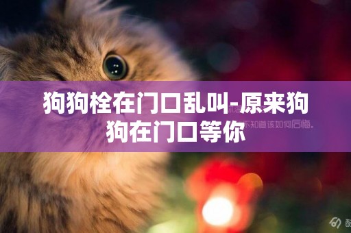 狗狗栓在門口亂叫-原來狗狗在門口等你