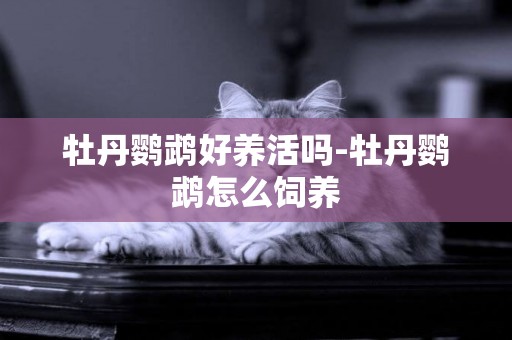 牡丹鸚鵡好養活嗎-牡丹鸚鵡怎么飼養