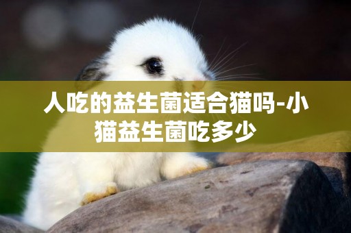 人吃的益生菌適合貓嗎-小貓益生菌吃多少