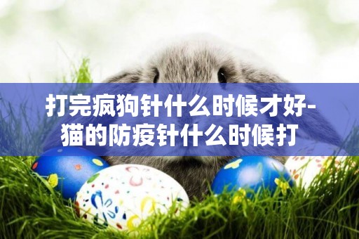 打完瘋狗針什么時候才好-貓的防疫針什么時候打
