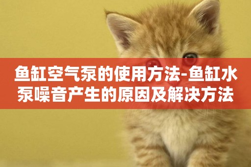 魚缸空氣泵的使用方法-魚缸水泵噪音產生的原因及解決方法