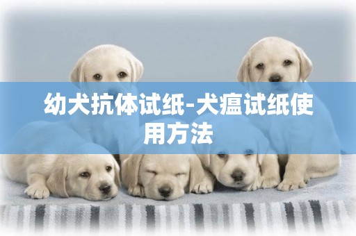 幼犬抗體試紙-犬瘟試紙使用方法