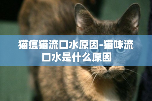 貓瘟貓流口水原因-貓咪流口水是什么原因