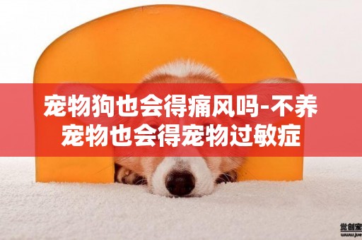 寵物狗也會得痛風嗎-不養寵物也會得寵物過敏癥