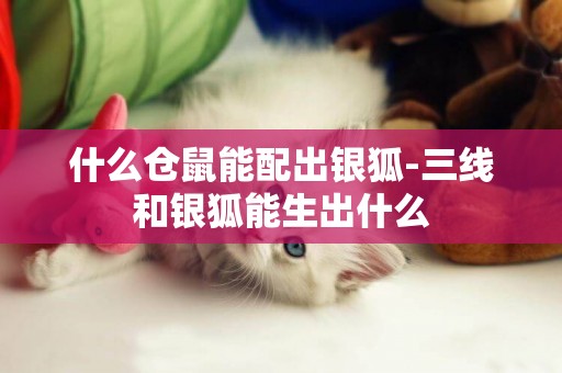 什么倉鼠能配出銀狐-三線和銀狐能生出什么