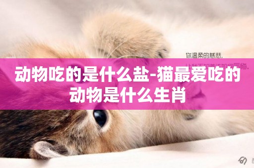 動物吃的是什么鹽-貓最愛吃的動物是什么生肖