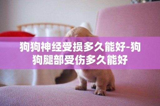狗狗神經受損多久能好-狗狗腿部受傷多久能好