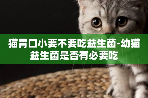 貓胃口小要不要吃益生菌-幼貓益生菌是否有必要吃