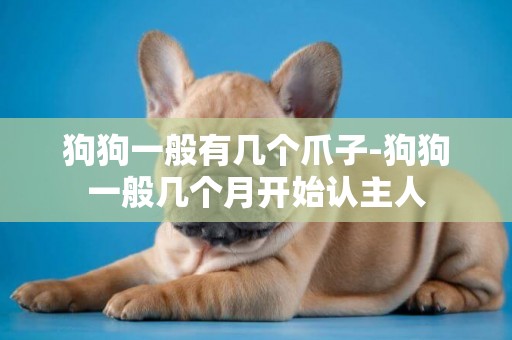 狗狗一般有幾個爪子-狗狗一般幾個月開始認主人