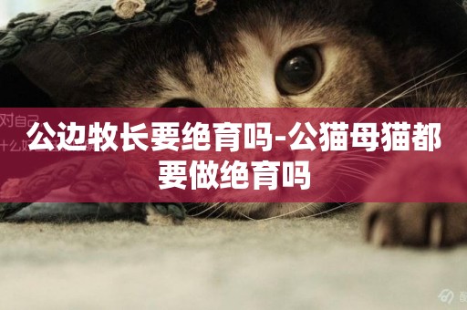 公邊牧長要絕育嗎-公貓母貓都要做絕育嗎