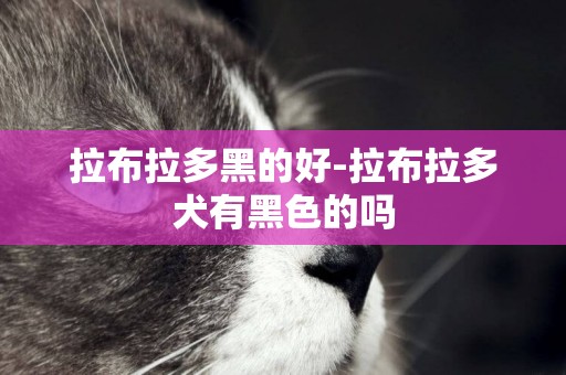 拉布拉多黑的好-拉布拉多犬有黑色的嗎