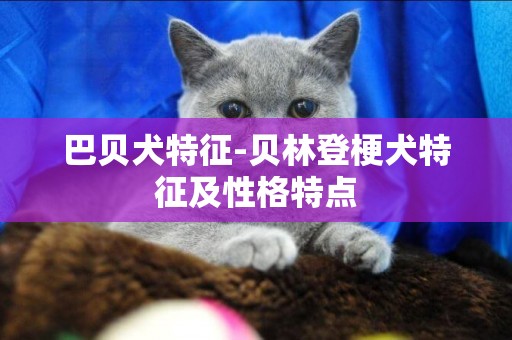 巴貝犬特征-貝林登梗犬特征及性格特點