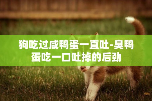 狗吃過咸鴨蛋一直吐-臭鴨蛋吃一口吐掉的后勁