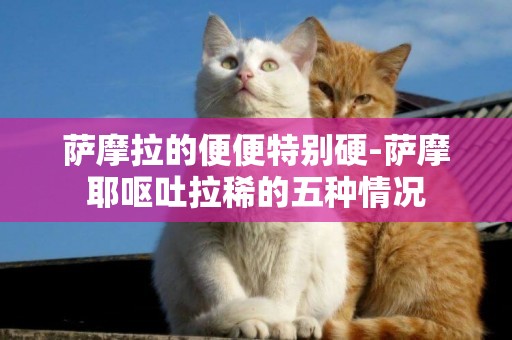 薩摩拉的便便特別硬-薩摩耶嘔吐拉稀的五種情況