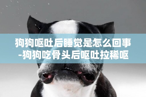 狗狗嘔吐后睡覺是怎么回事-狗狗吃骨頭后嘔吐拉稀嘔吐是怎么回事