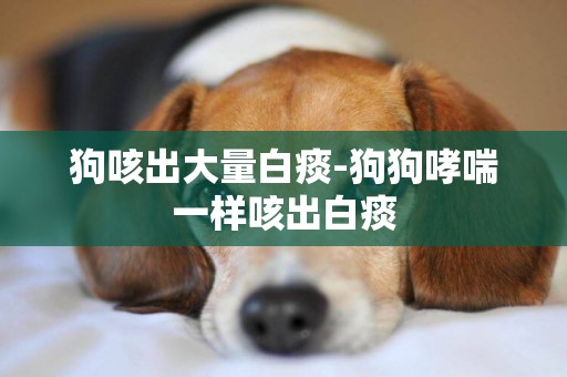 狗咳出大量白痰-狗狗哮喘一樣咳出白痰