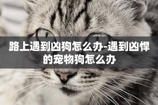 路上遇到兇狗怎么辦-遇到兇悍的寵物狗怎么辦