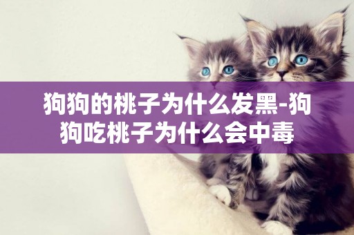 狗狗的桃子為什么發黑-狗狗吃桃子為什么會中毒