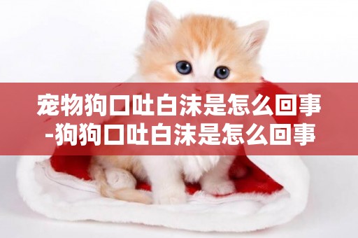寵物狗口吐白沫是怎么回事-狗狗口吐白沫是怎么回事