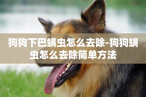 狗狗下巴螨蟲怎么去除-狗狗螨蟲怎么去除簡單方法
