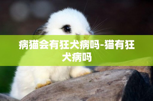 病貓會有狂犬病嗎-貓有狂犬病嗎