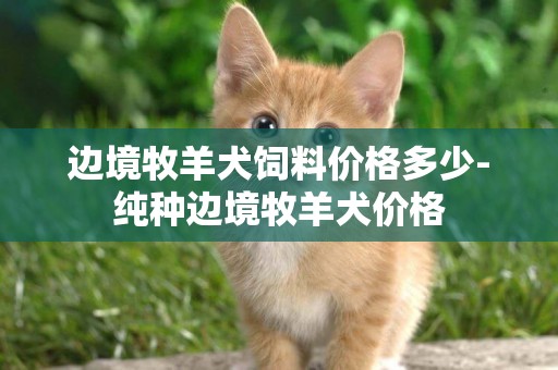 邊境牧羊犬飼料價格多少-純種邊境牧羊犬價格